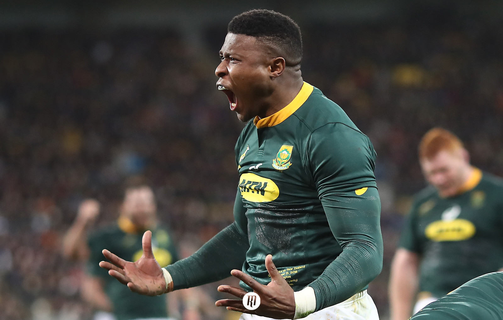 Match Analysis: New Zealand v South Africa