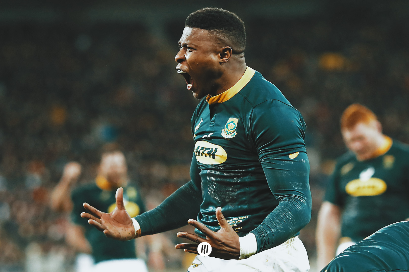A truncated Rugby Championship and a World Cup launchpad: Wallabies and Springboks