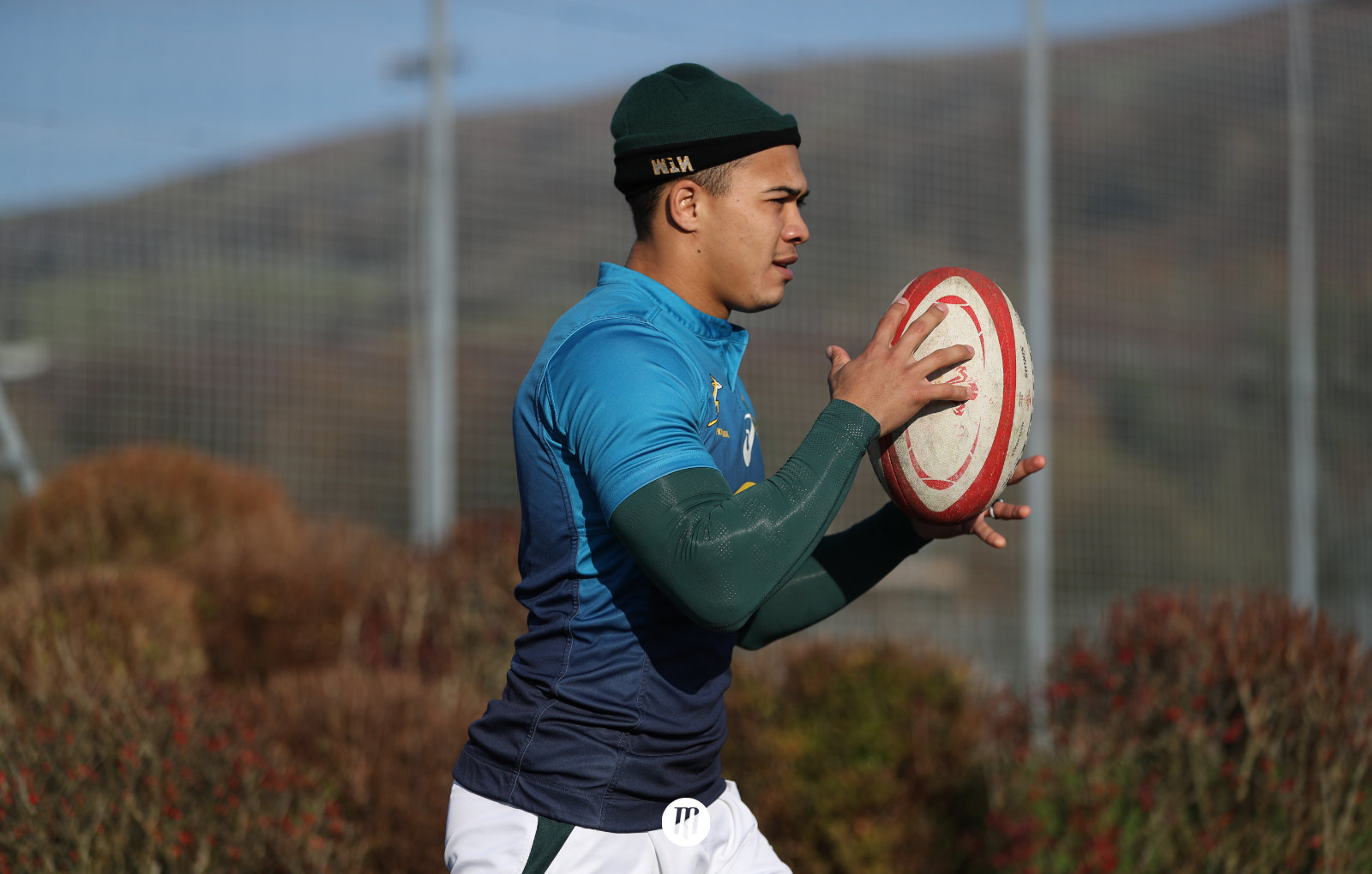 How brightspark Cheslin Kolbe can return the Springboks to their force of old