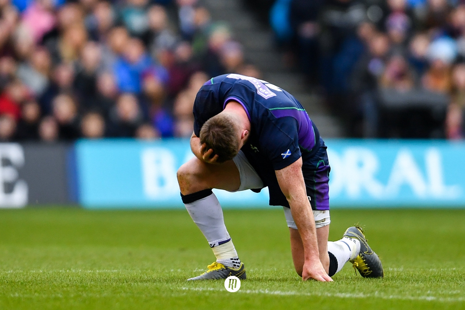 Don't let the Six Nations fool you, Scotland could be semi-final contenders in Japan