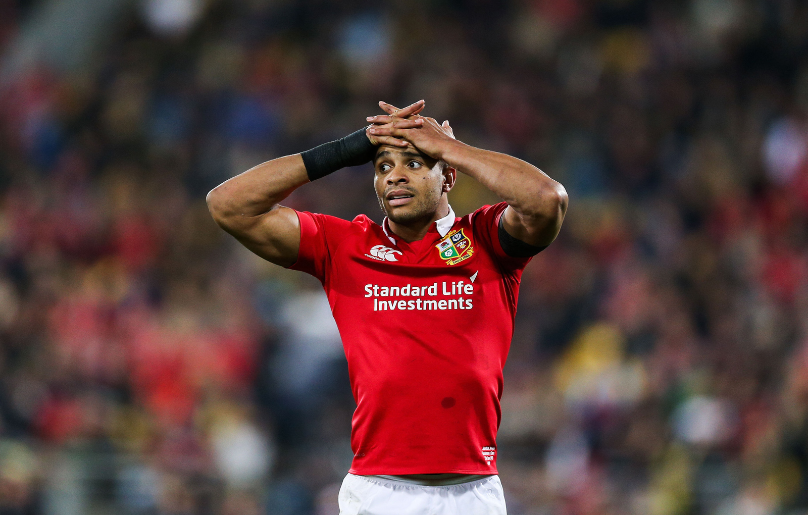 Lions Tour – A story worth the wait